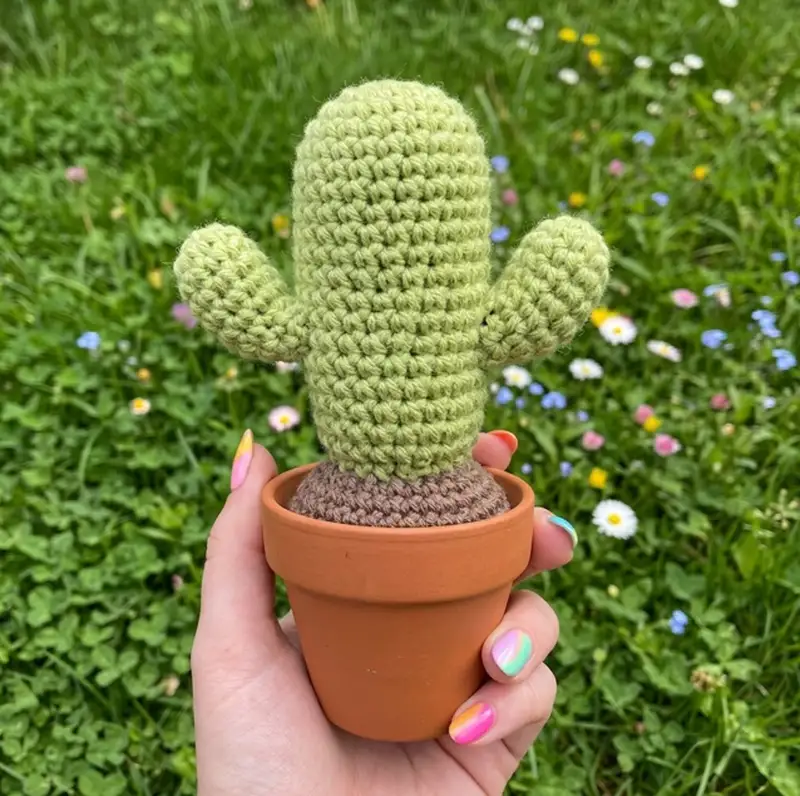 Complimentary Intermediate crochet pattern: Desert Crochet Cactus Amigurumi Pattern - Simple to follow guide
