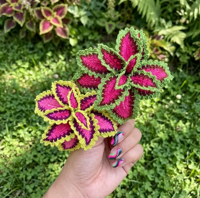 Complimentary Intermediate crochet pattern: Watermelon Coleus Pattern - Simple to follow guide
