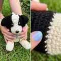 Tip The Border Collie Amigurumi Pattern step 2 - assembly progress