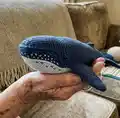 Crochet Whale Amigurumi Pattern step 3 - details and accessories