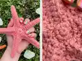Starfish Amigurumi Pattern step 3 - details and accessories