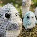 Sharkito the Polite Shark Amigurumi Pattern step 2 - assembly progress