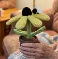 Bumble Blossom Black Eyed Susan Amigurumi Pattern step 1 - construction progress