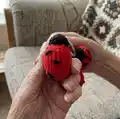 Ladybug Keychains Amigurumi Pattern step 2 - assembly progress