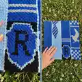 Ravenclaw Afghan Pattern step 2 - assembly progress