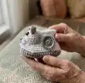 Crochet Bootimals Barnyard Buddies Amigurumi Pattern step 3 - details and accessories