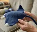 Jacque the Manta Ray Amigurumi Pattern step 2 - assembly progress