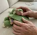Crochet Turtle Memory Game Amigurumi Pattern step 3 - details and accessories