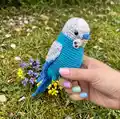 Budgerigar Amigurumi Pattern step 4 - final assembly and finishing