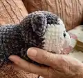 My little Husky dog Amigurumi Pattern step 3 - details and accessories