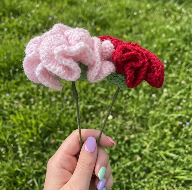Complimentary Beginner Friendly crochet pattern: Carnation Flower Pattern - Simple to follow guide