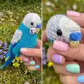 Budgerigar Amigurumi Pattern step 2 - assembly progress