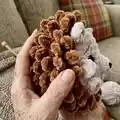 Herbie Hedgehog Amigurumi Pattern step 2 - assembly progress